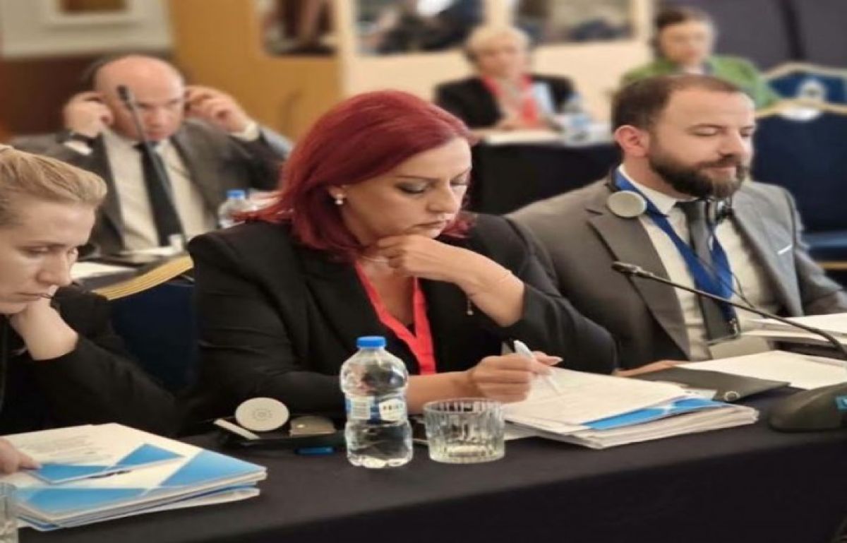 Redzepi, Sofya'daki SEECP Parlamenter Asamblesi'nin 13. Oturumunda 
