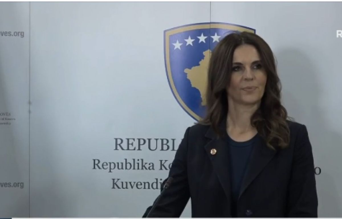 PDK’nın İki Önceliği Lahey Süreci ve Avrupa Konseyi Üyeliği