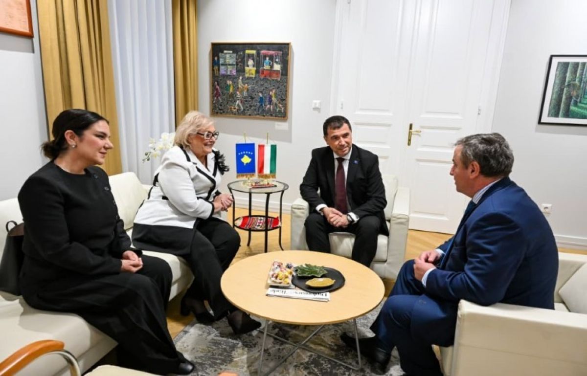 Shiroka Pula, Kosova-Arnavutluk Diplomatik Koordinasyonunun Önemini Vurguladı