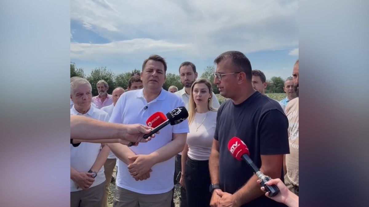 İstog'da Dolu Felaketinin Ardından Destek ve Tarımsal Koruma Çalışmaları Başlatılacak