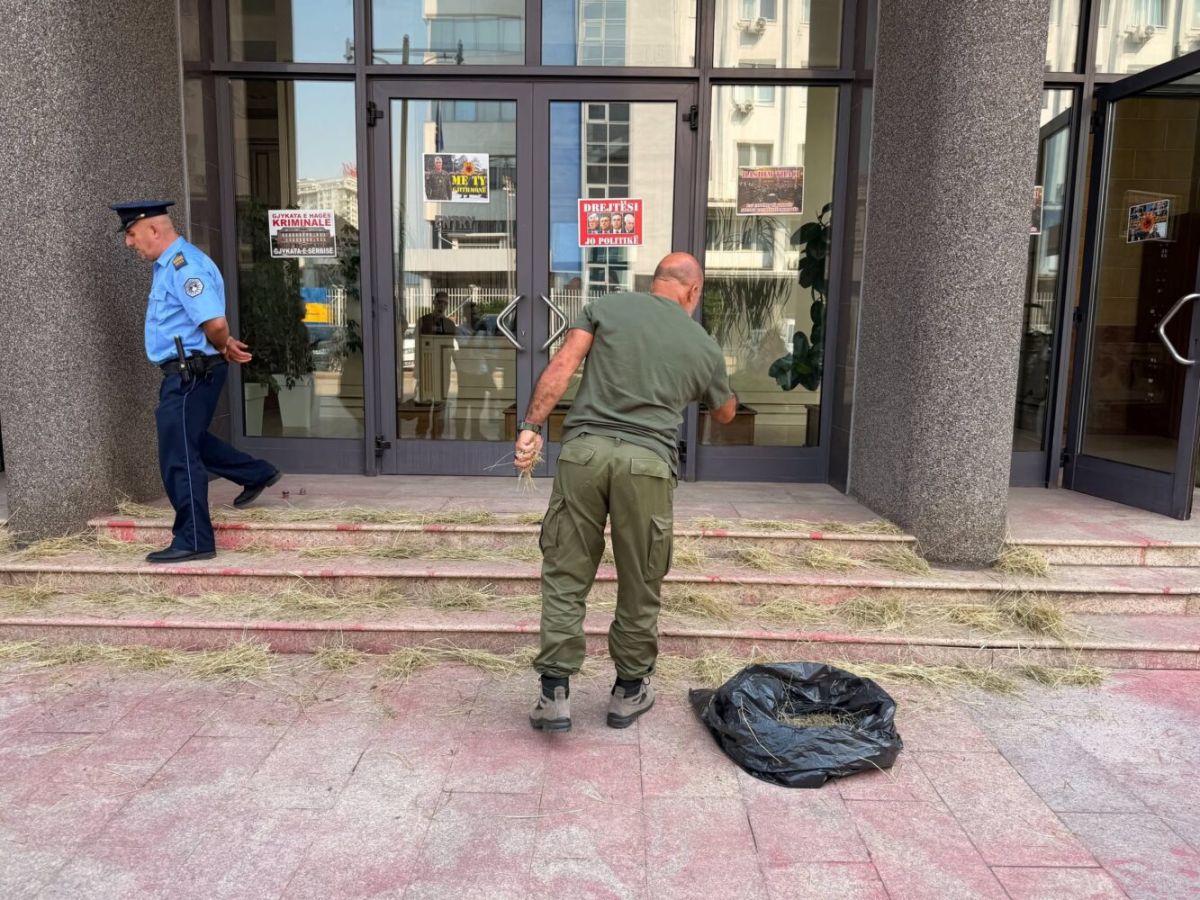 Eski UÇK Mensubundan Meclis Önünde “VV” Yazılı Yumurta ve Tavuklarla Sembolik Eylem 