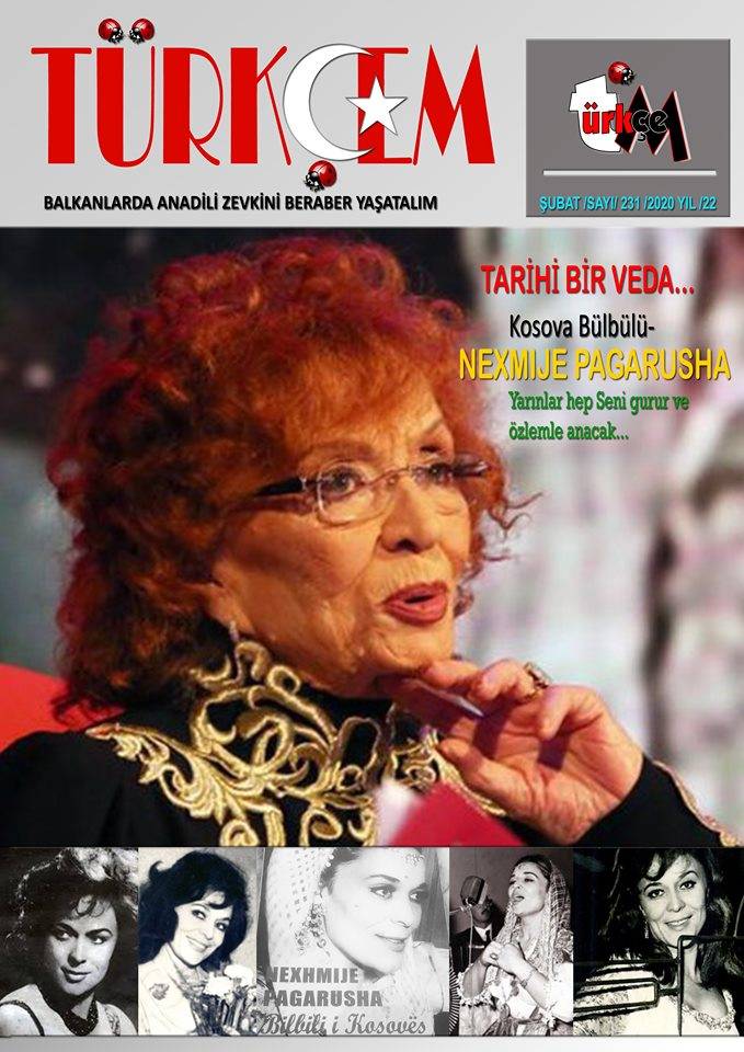 TÜRKÇEM 231.SAYISIYLA MERHABA DİYOR