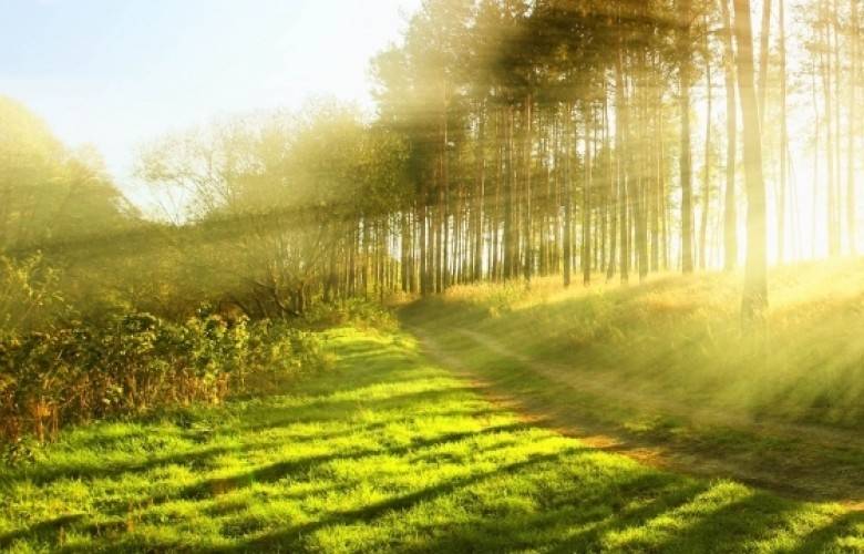 Hava Bugün ve Yarın Açık ve Çok Sıcak