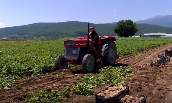 Tarım Bakanlığı, 5 Milyon Euro Değerinde Sübvansiyonları Ödemeye Başladı