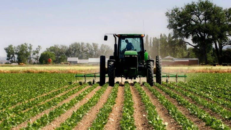 Çiftçilere Sübvansiyon Ödemeleri Başladı