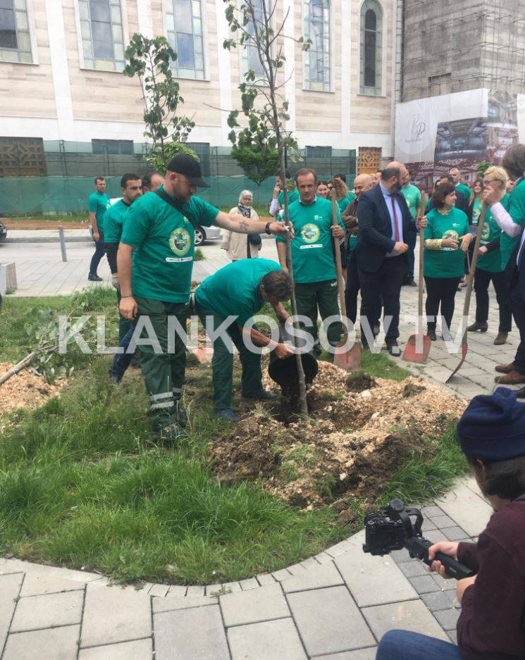 Priştine Merkezinde 30 Fidan Dikildi
