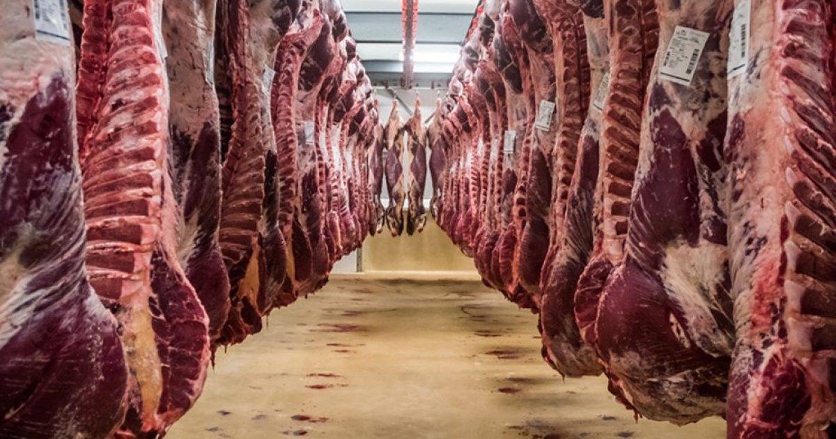 Yılbaşından Bu Yana 300 Bin Kg/Litre Şüpheli Gıda İmha Edildi