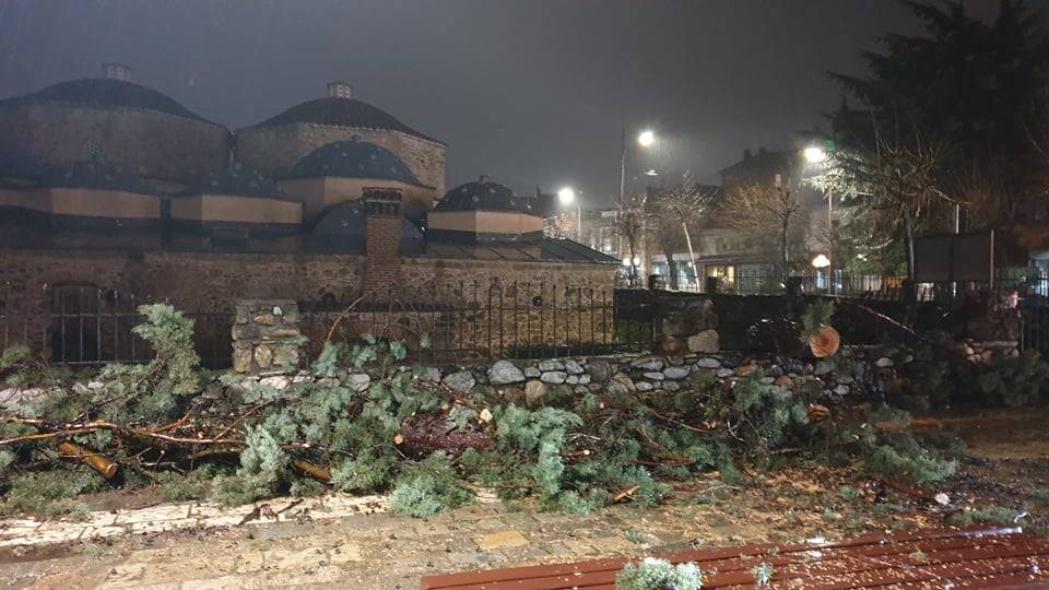 Şiddetli Rüzgar Hamam Avlusundaki Çam Ağacını Devirdi