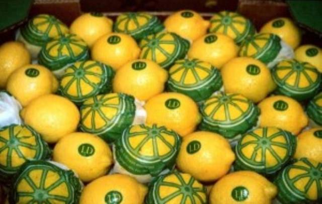 İlk Analizlere Göre Limon Kanserojen Değil