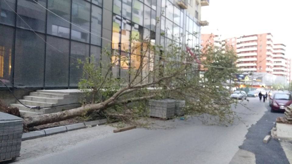 Prizren’de Ağaç Devrilmesi Sonucu 3 Kişi Yaralandı