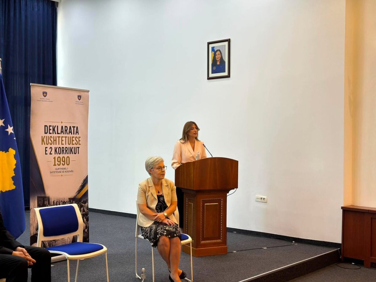 Kosova Delegeleri, Meclis Dışında da Ülke Adına Konuştu
