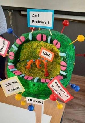 PROJE – COVID 19