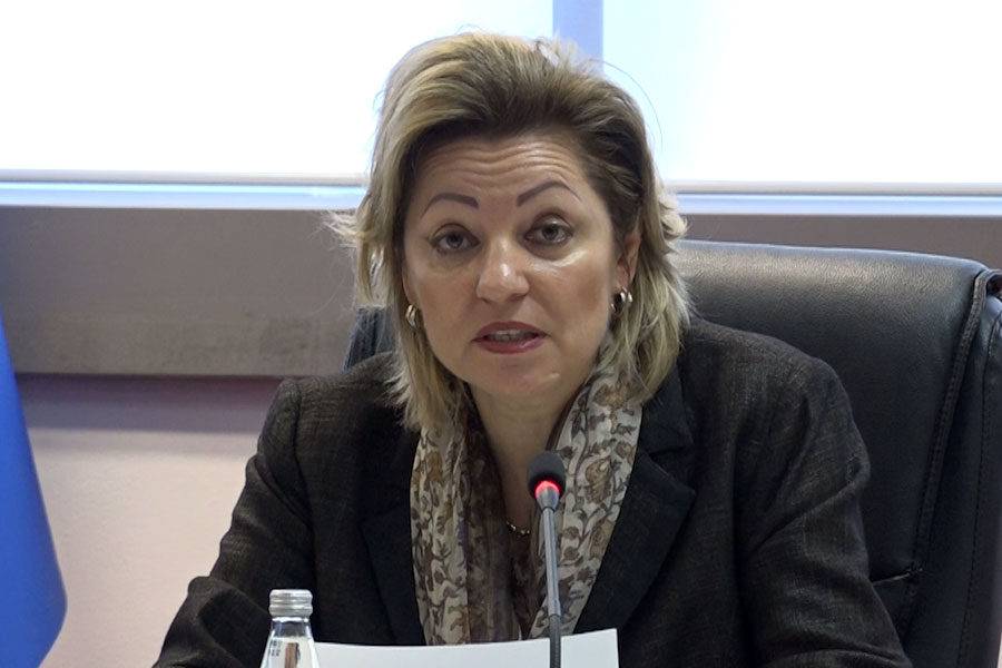 Apostolova Meclis’in Çalışmamasından Üzgün