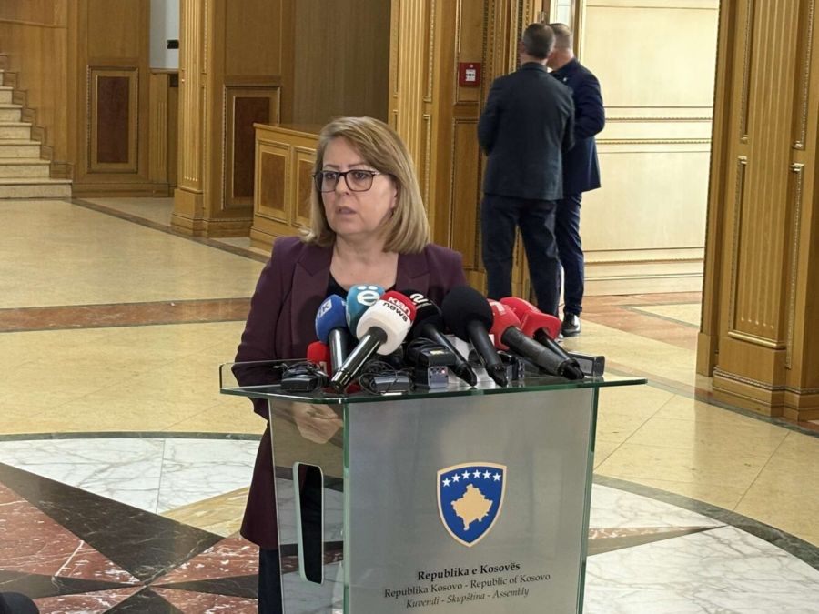 LDK’nin Geçiş Hükümeti Teklifi Ülkenin Yararı İçin Yapıldı