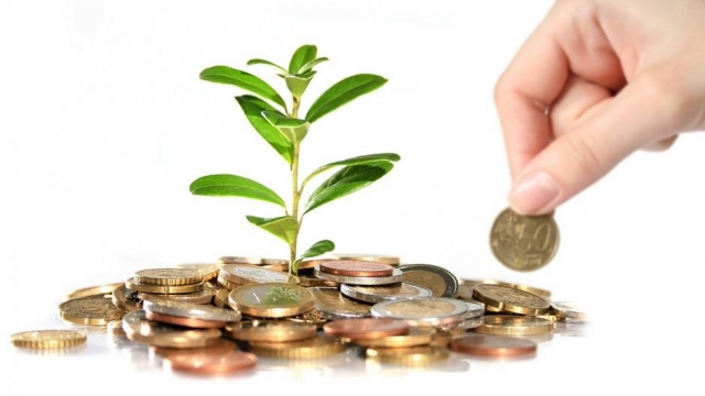 Avrupa Yatırım Bankası Yerli İşletmelere Yardımcı Oluyor