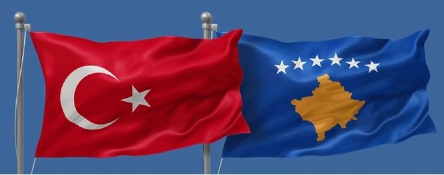 Diasporadan Türk Parti ve Milletvekili Adayları Oyları