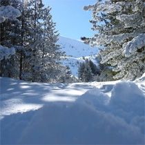KGG, Mahsur Kalan Priştineli Bir Gurup Öğrenciyi Brezovica'dan Çıkardı