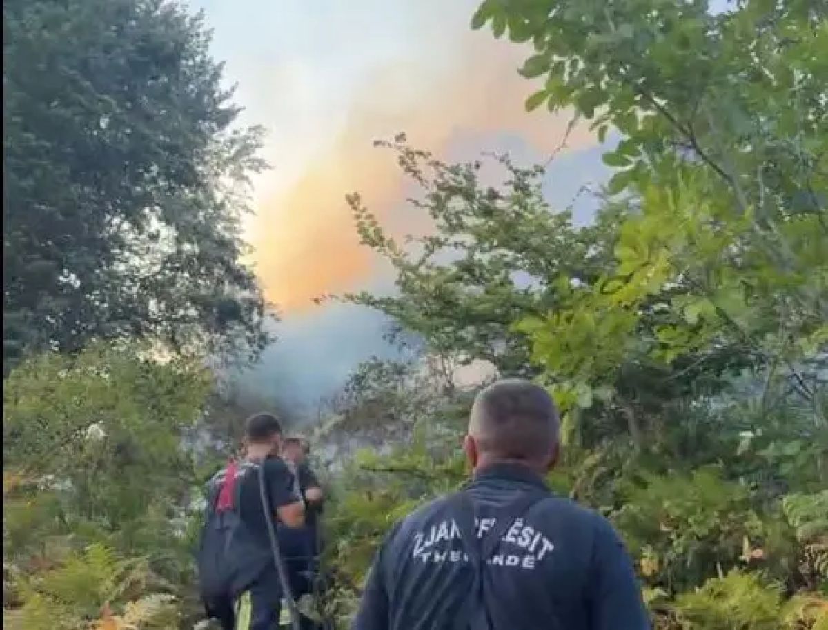 Suhareka’nın Budakova Köyünde Geniş Bir Alanda Yangın Çıktı
