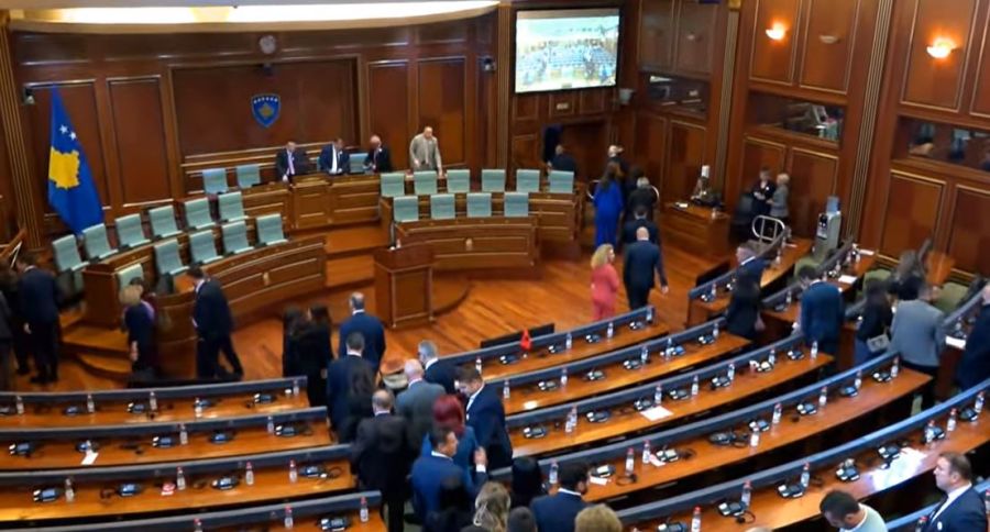 Nenad Raşiç, Kosova Meclisi Başkan Yardımcılığına Seçildi
