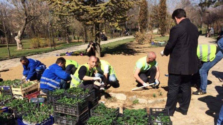 Priştine Belediyesi Baharın İlk Gününde Çiçek Ekti