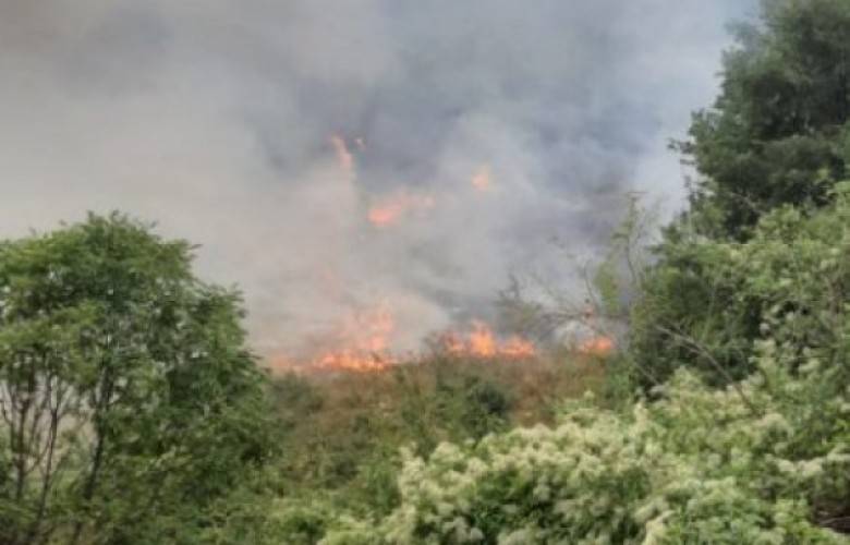 Rugova Dağları,  Gilan ve Viti’de Bazı Ormanlarda Yangınlar Hala Var
