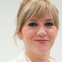 FER: Hükümet, Serbest Vize Konusunda Ciddiyetsiz