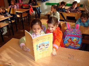 Türkçe Kitaplar Sorunu Gündeme Getirildi