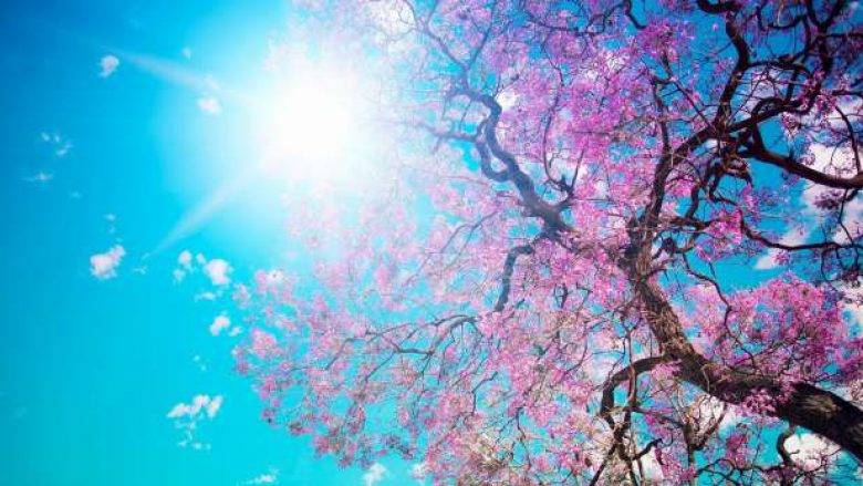 Hava Güneşli-Parçalı Bulutlu ve Sıcak