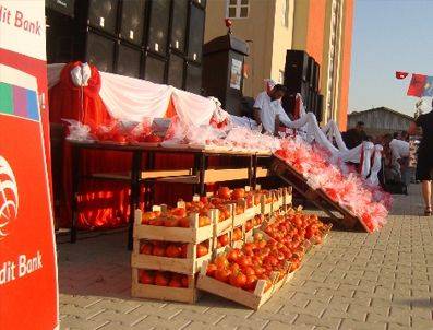Domates Festivali Ertelendi