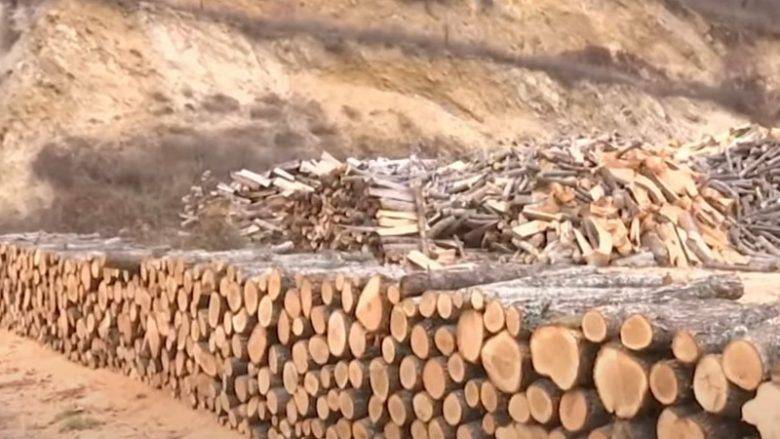 Yakıt Odun Fiyatı 60 Euro’ya Çıktı