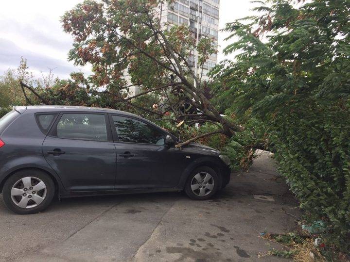 Şiddetli Rüzgar Hafif  Yaralanmalara ve Maddi Hasara Yol Açtı