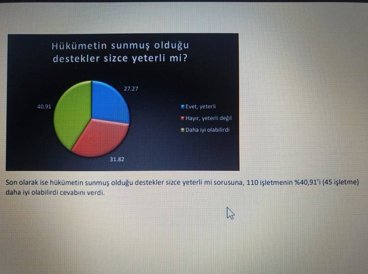 Covid-19 Salgınının İşletmelere Etkisi