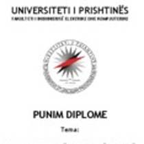 Lisans Diploması 100 Avro