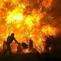 Kavurucu Sıcaklar Yangınlara Sebep Oluyor