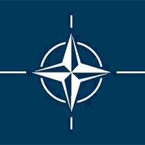 NATO: Şiddet Kabul Edilmezdir