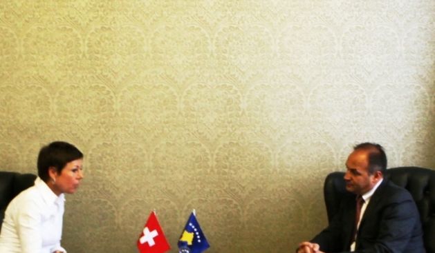 İsviçre'nin Kosova Desteği Olumlu Değerlendirildi