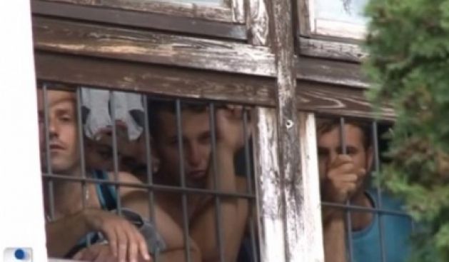 Macaristan'da Sefalette,  Kosova Devletinden Yardım Bekliyorlar