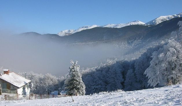 Brezovica Yolunda Priştineli 24 Öğrenci  Yaralandı