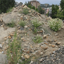 İbre Nehri Üzerindeki Barikat Yeşermeye Başladı!