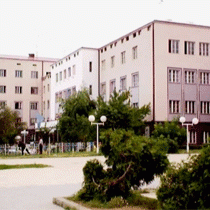 Partiler, Priştine Başkan Adayından Halen Sessiz