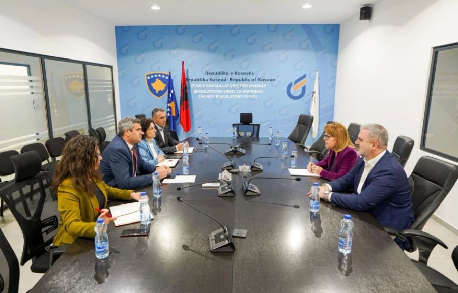 LDK, ZRRE’den Elektrik Zammının İptalini Talep Etti