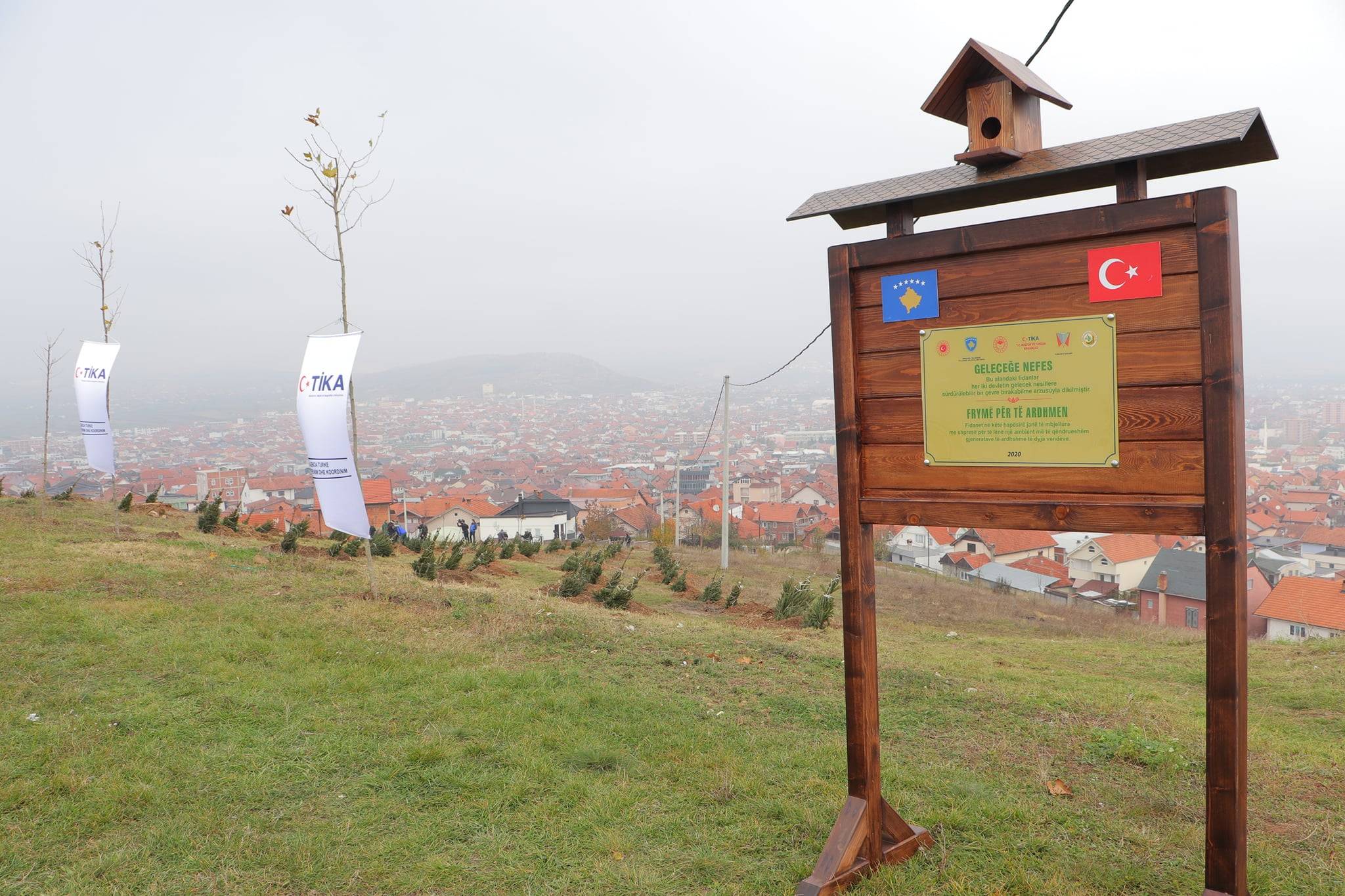 Gilan’da 2000 Adet Fidan Dikildi