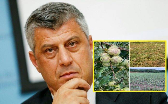 Tarımcılarımızın Zarara Uğraması Üzücü