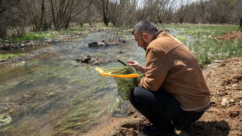 Kosova'da Keşfedilen Yeni Böcek Türüne Corona Virüs Adı Verildi
