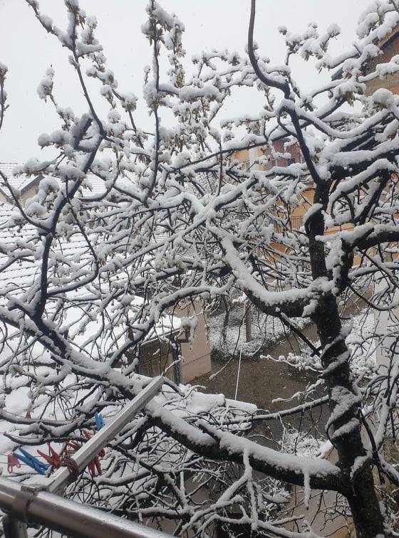 Kosova Kara Büründü
