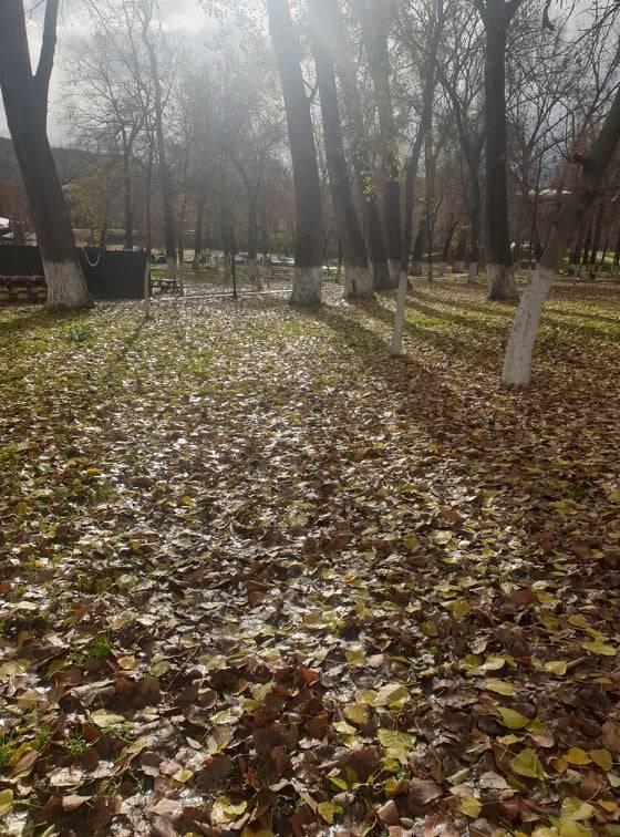 Bugün Hava Güneşli