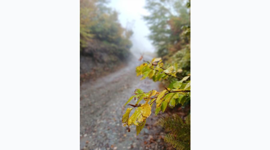 Hava Parçalı Bulutlu ve Yağışsız