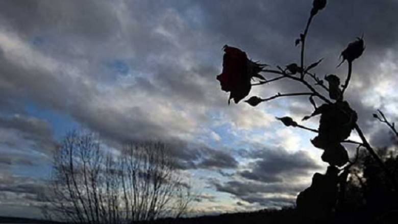 Hava Sıcaklığında Artış