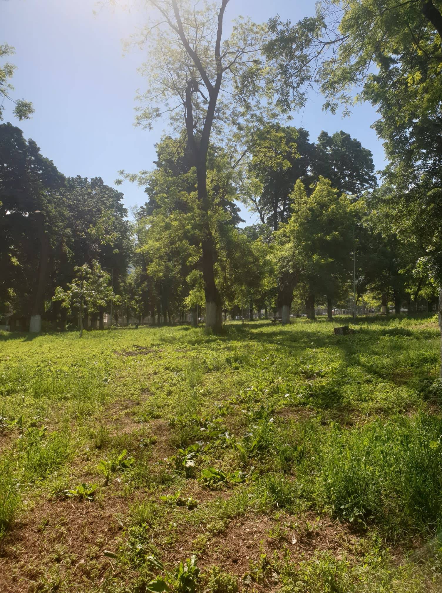 Bugün Hava Güneşli