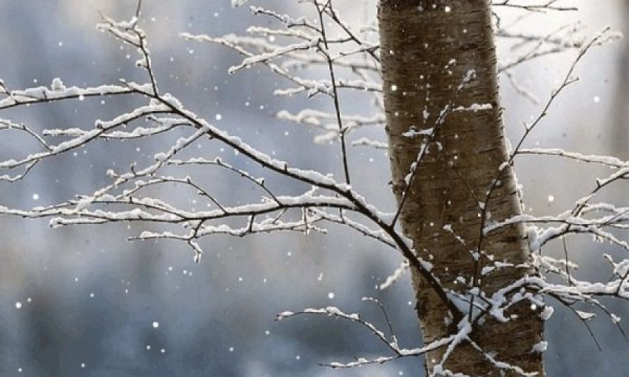 Hava Bulutlu ve Soğuk 